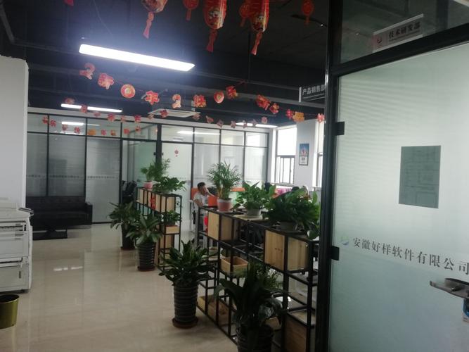 软件开发,销售;信息系统集成;信息技术咨询;数据处理和储存服务;网络