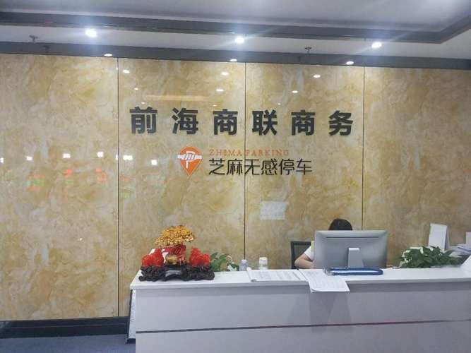 梅利明,公司经营范围包括:网络技术的开发;计算机技术开发